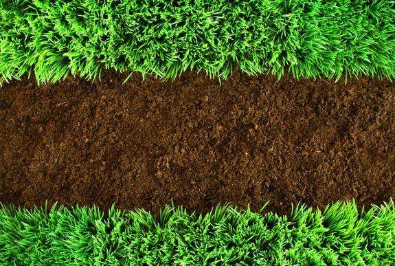國際經驗 | 我國土壤問題特征及國外土壤環境管理經驗借鑒